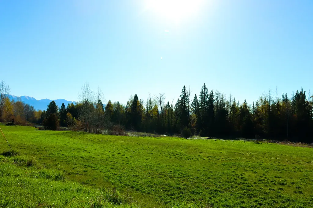 Nhn E Cottonwood Drive Kalispell MT 59901
