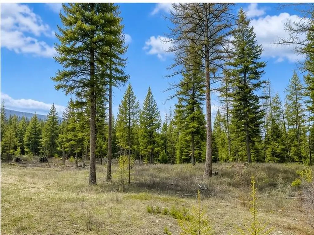 237 Haskill Ranch Road Kila MT 59920