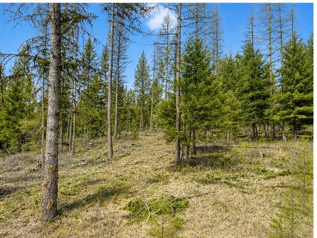 237 Haskill Ranch Road Kila MT 59920