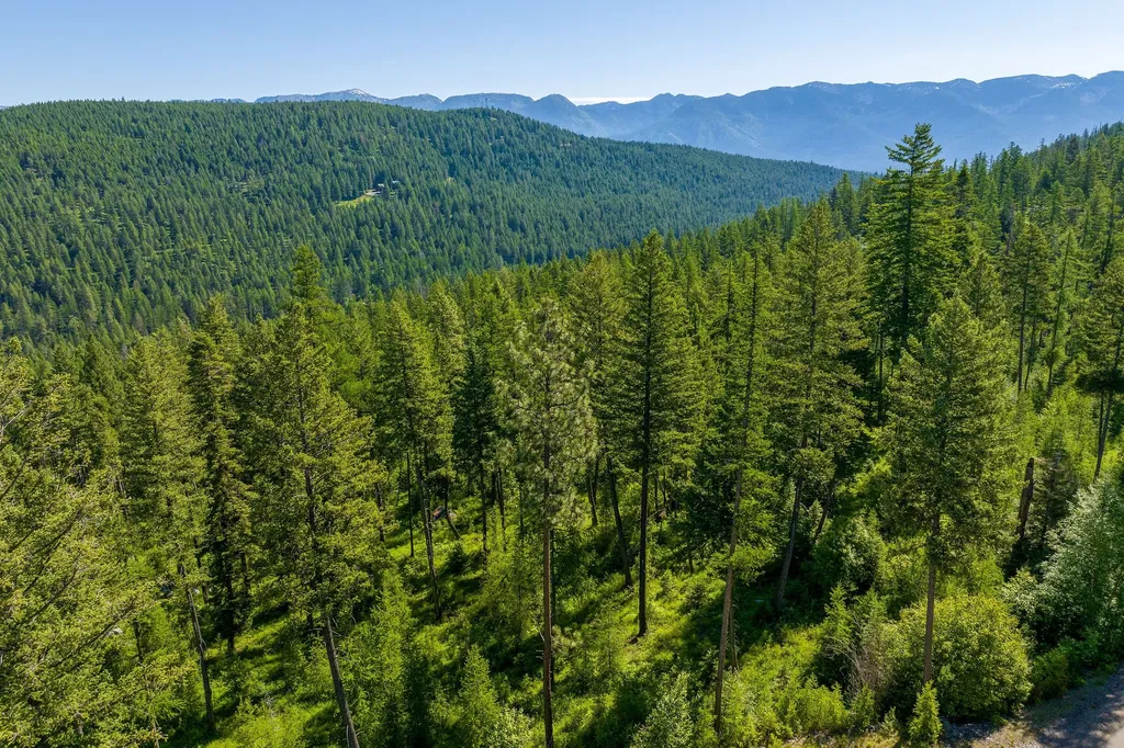 385 Saddlehorn Trail Bigfork MT 59911