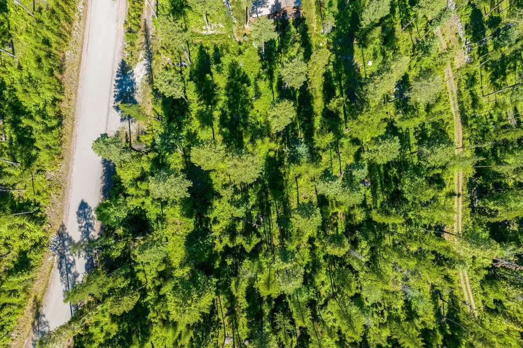 385 Saddlehorn Trail Bigfork MT 59911