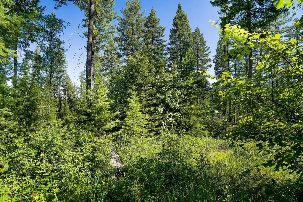 385 Saddlehorn Trail Bigfork MT 59911