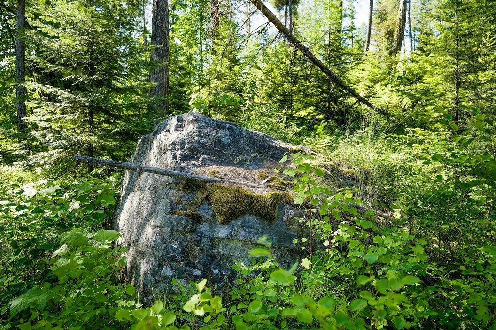 385 Saddlehorn Trail Bigfork MT 59911