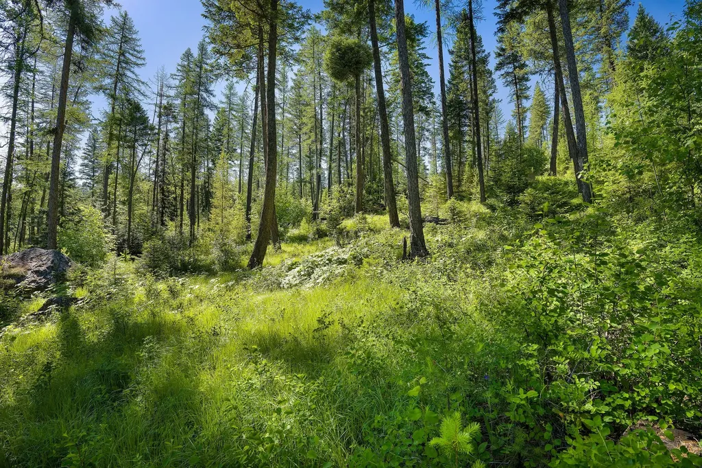 385 Saddlehorn Trail Bigfork MT 59911