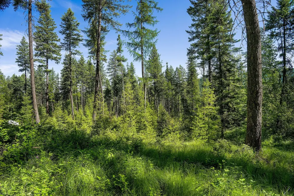 385 Saddlehorn Trail Bigfork MT 59911