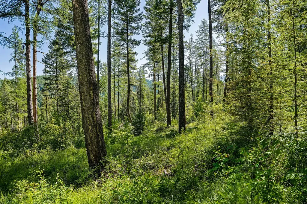 385 Saddlehorn Trail Bigfork MT 59911
