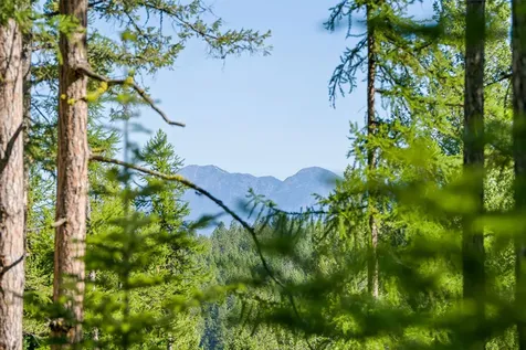 385 Saddlehorn Trail Bigfork MT 59911