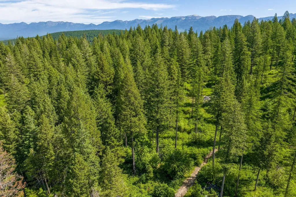 121 Pinto Trail Bigfork MT 59911