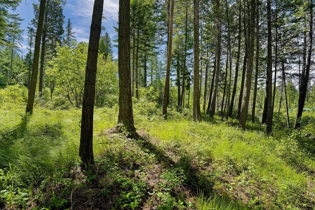 121 Pinto Trail Bigfork MT 59911