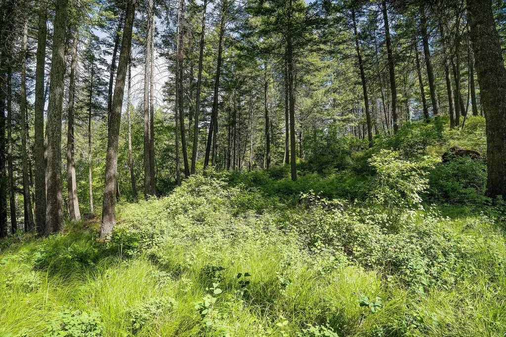 121 Pinto Trail Bigfork MT 59911