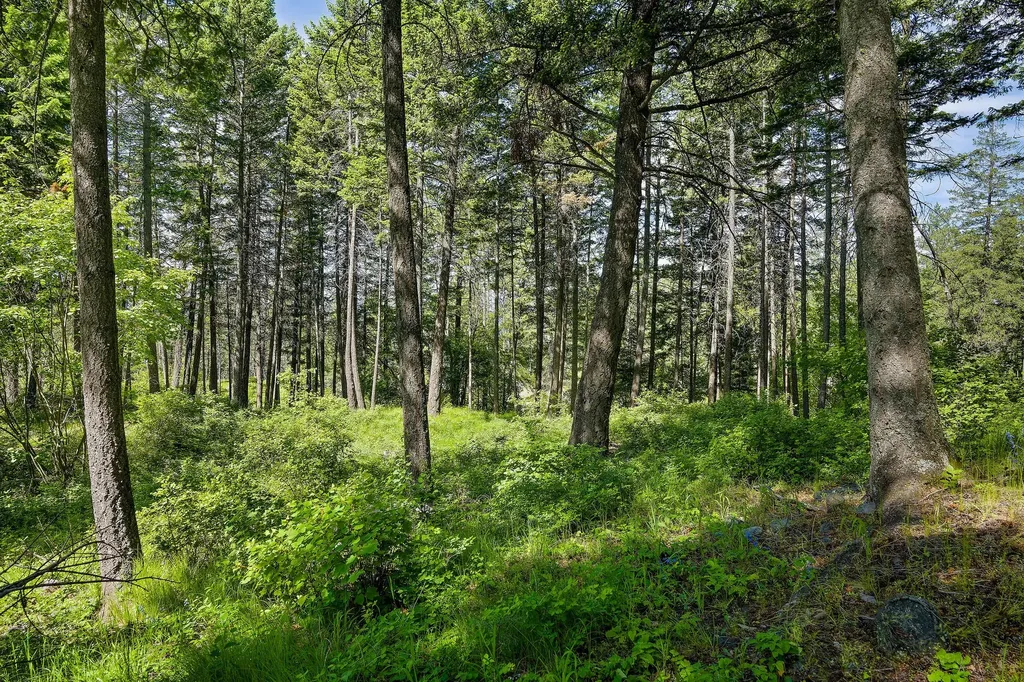 121 Pinto Trail Bigfork MT 59911