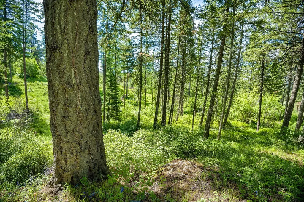 121 Pinto Trail Bigfork MT 59911
