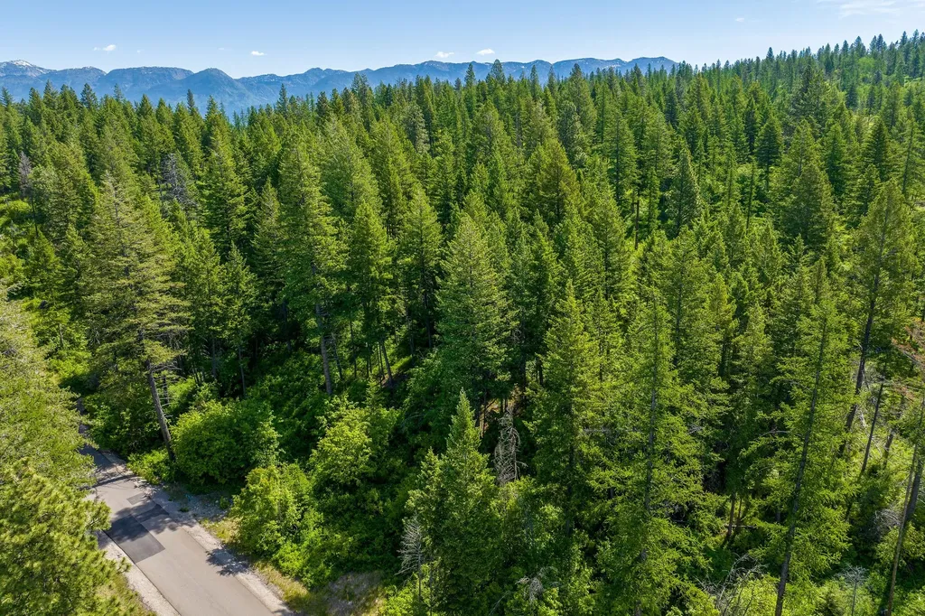 121 Pinto Trail Bigfork MT 59911