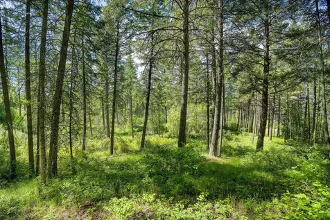 121 Pinto Trail Bigfork MT 59911