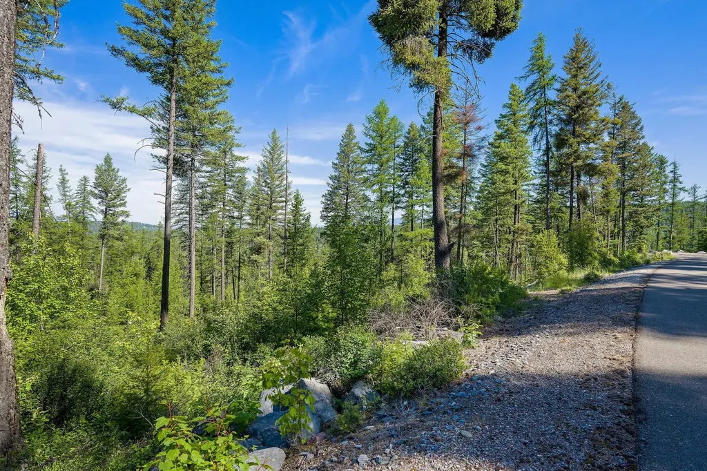 173 Timberjack Trail Bigfork MT 59911
