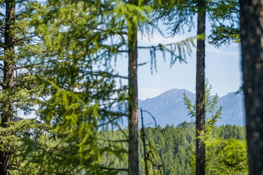 173 Timberjack Trail Bigfork MT 59911