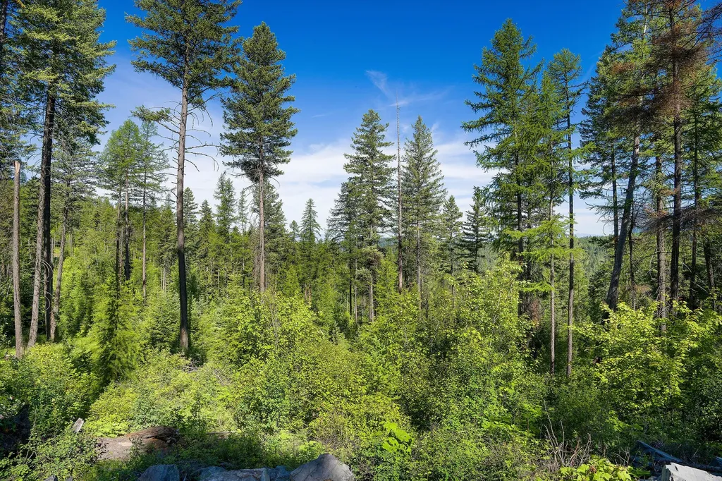 173 Timberjack Trail Bigfork MT 59911