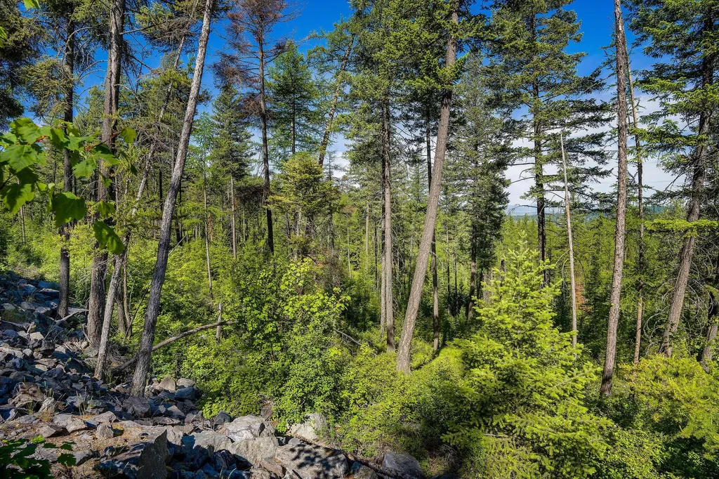 173 Timberjack Trail Bigfork MT 59911