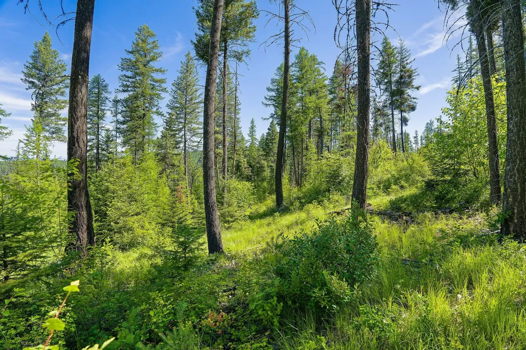 173 Timberjack Trail Bigfork MT 59911