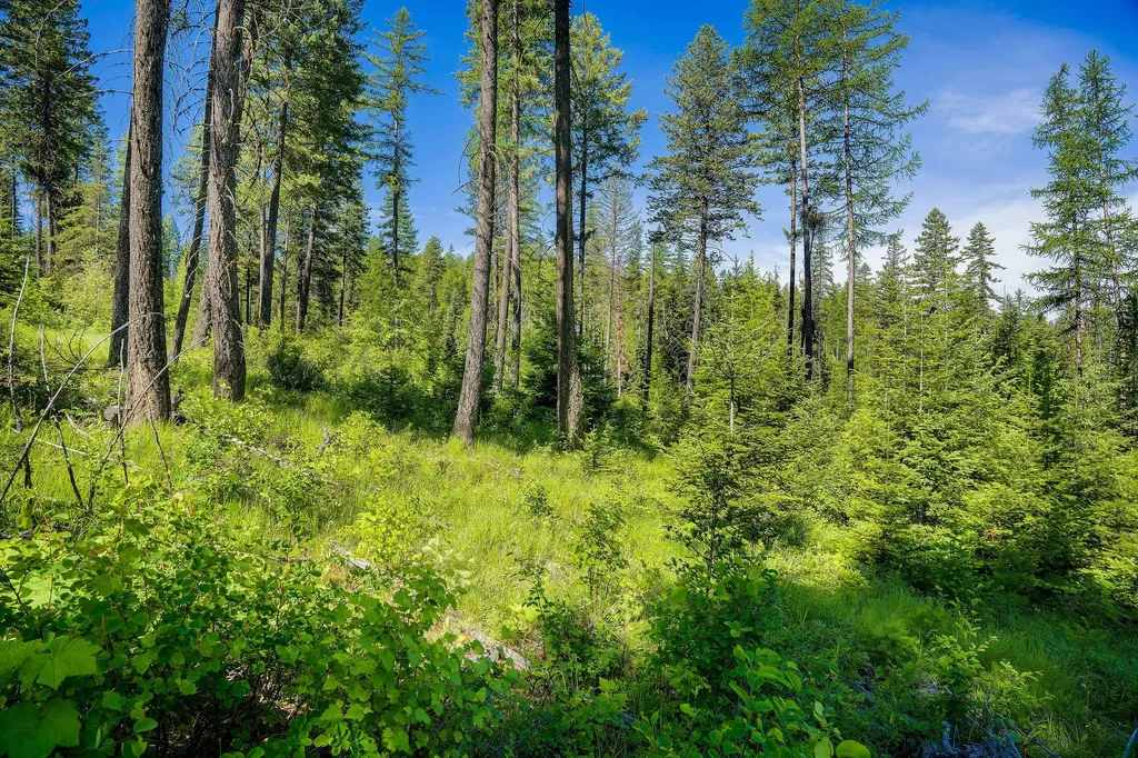 173 Timberjack Trail Bigfork MT 59911