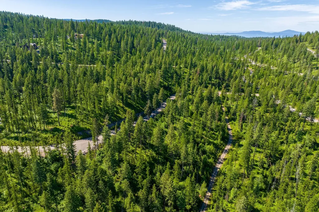 173 Timberjack Trail Bigfork MT 59911