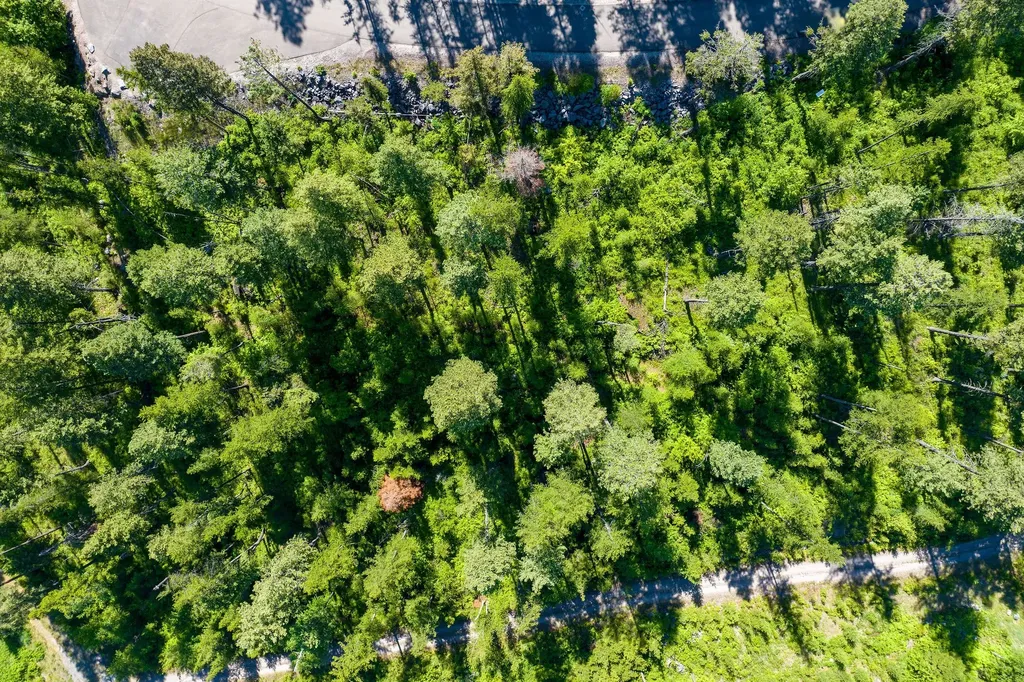173 Timberjack Trail Bigfork MT 59911