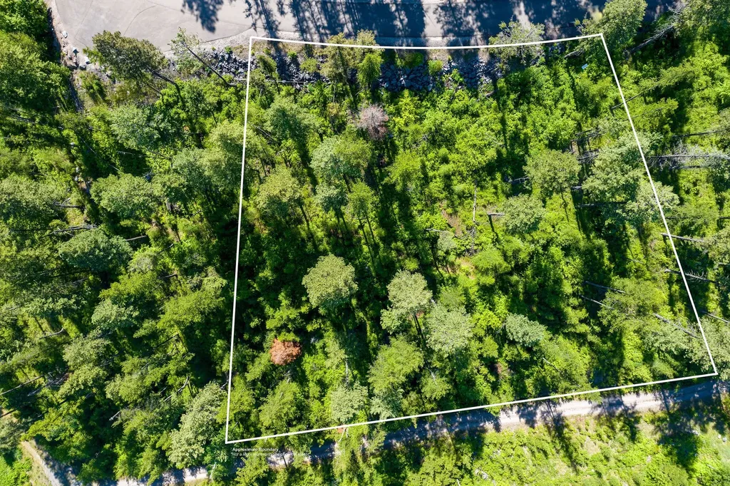 173 Timberjack Trail Bigfork MT 59911