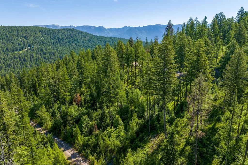 173 Timberjack Trail Bigfork MT 59911