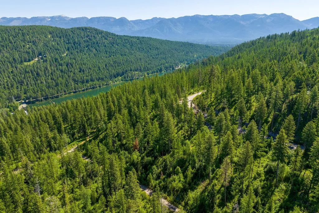 173 Timberjack Trail Bigfork MT 59911