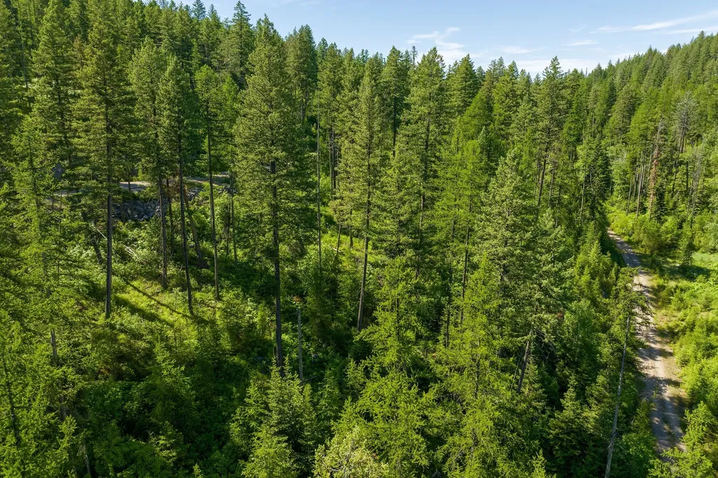 173 Timberjack Trail Bigfork MT 59911