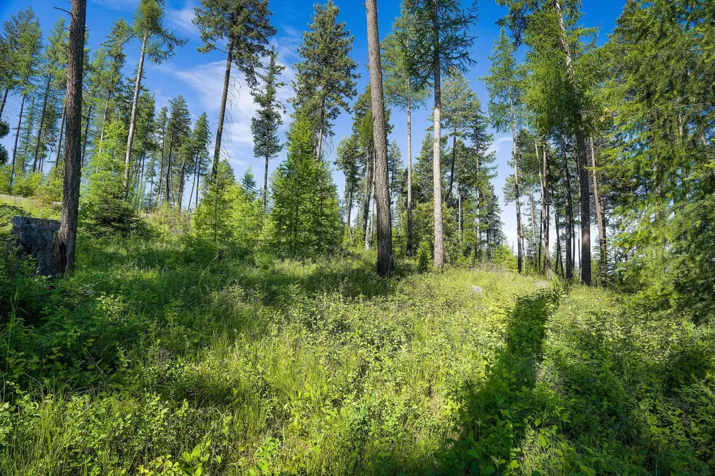 198 Trading Post Trail Bigfork MT 59911