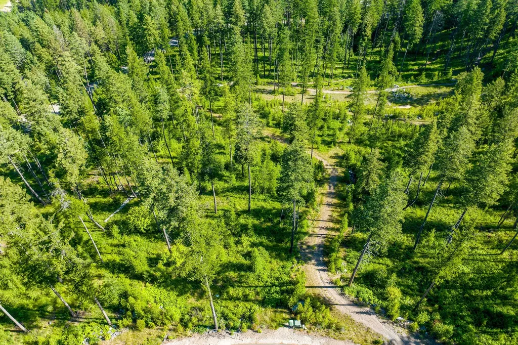 198 Trading Post Trail Bigfork MT 59911