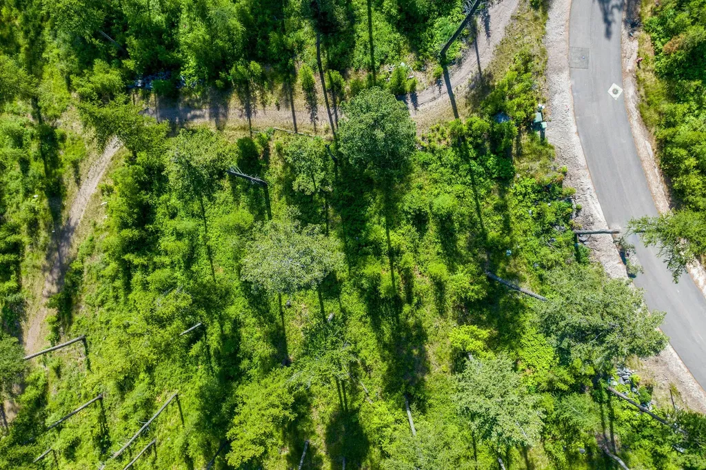 198 Trading Post Trail Bigfork MT 59911