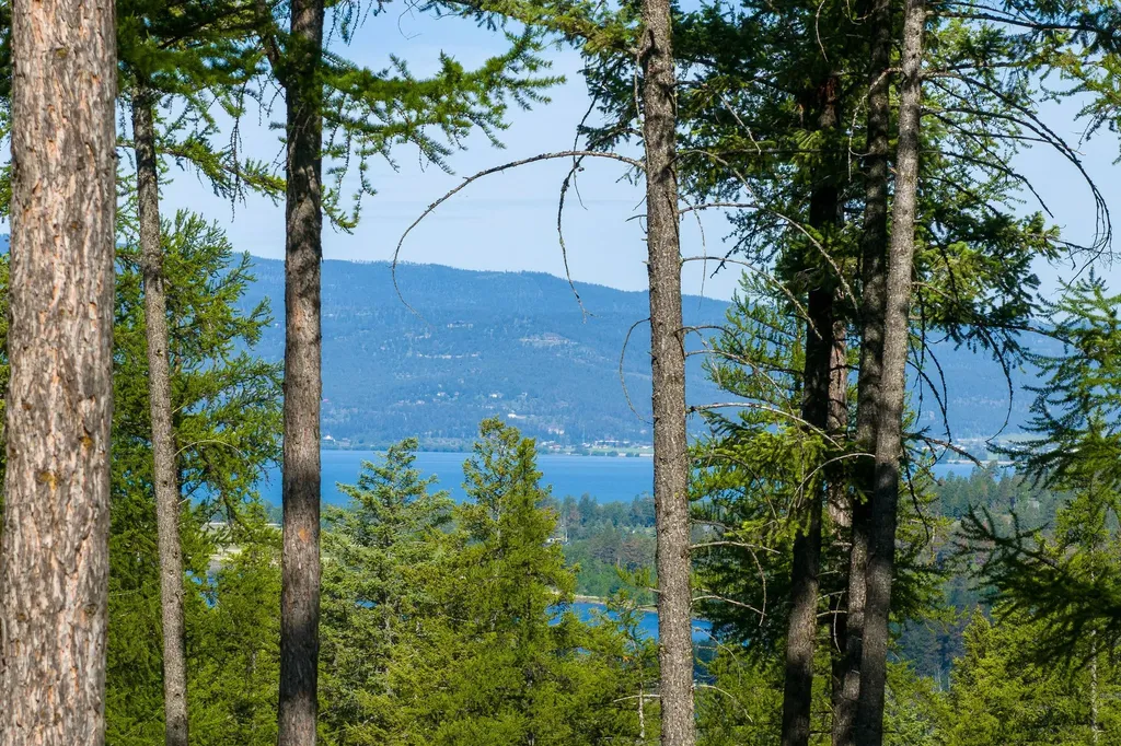 198 Trading Post Trail Bigfork MT 59911