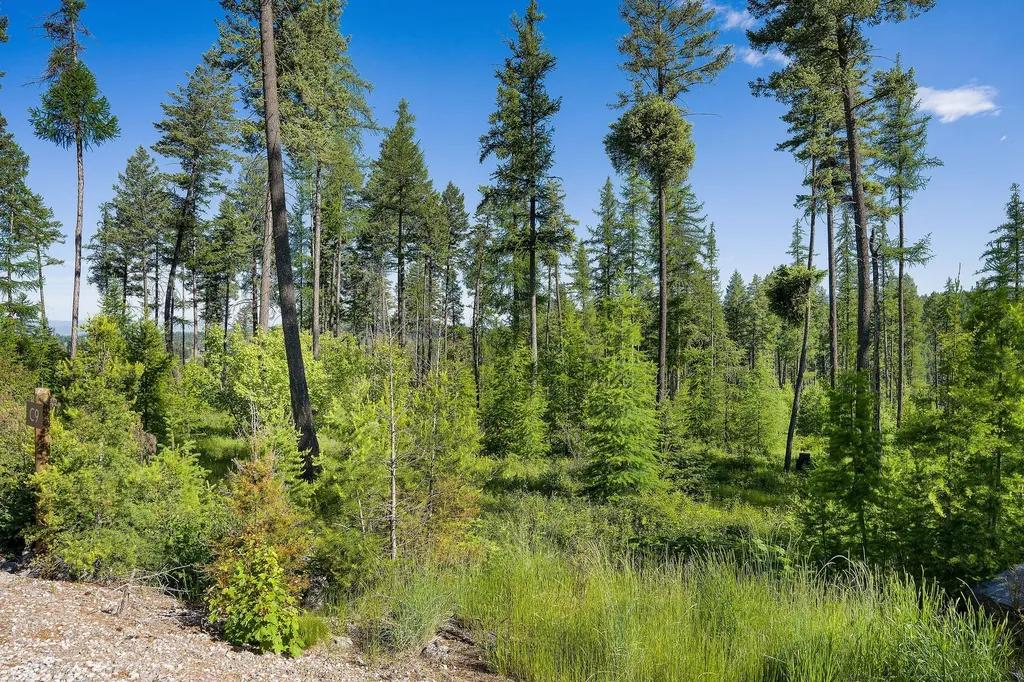 198 Trading Post Trail Bigfork MT 59911