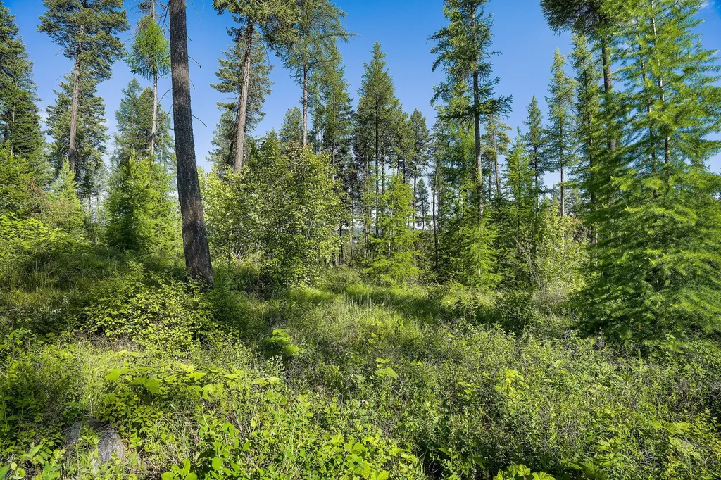 198 Trading Post Trail Bigfork MT 59911