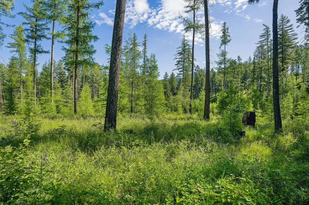 198 Trading Post Trail Bigfork MT 59911