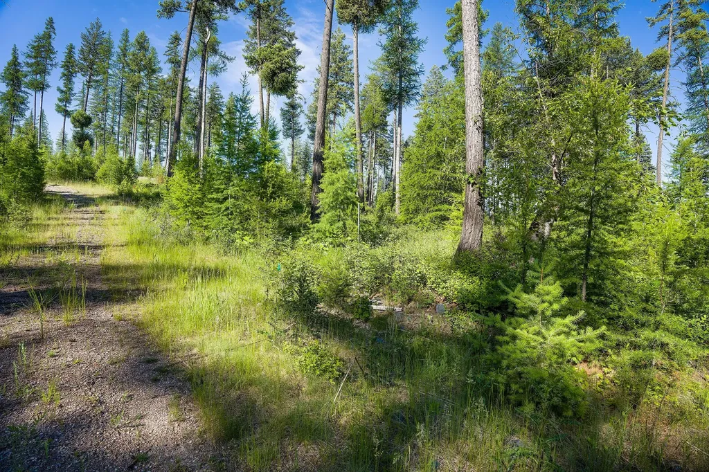 198 Trading Post Trail Bigfork MT 59911