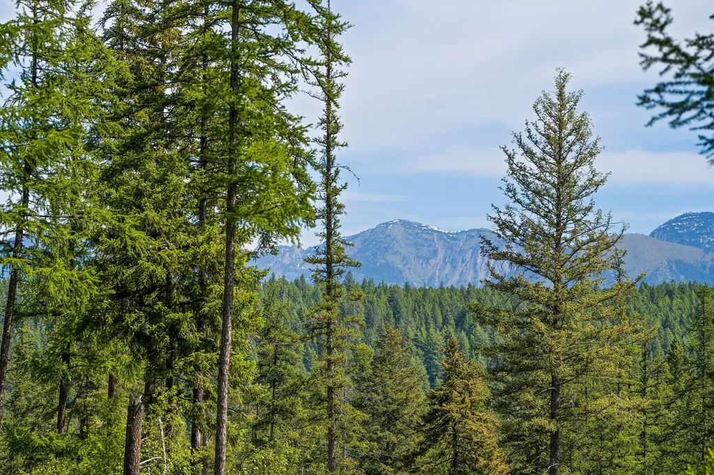 429 Chief Cliff Trail Bigfork MT 59911