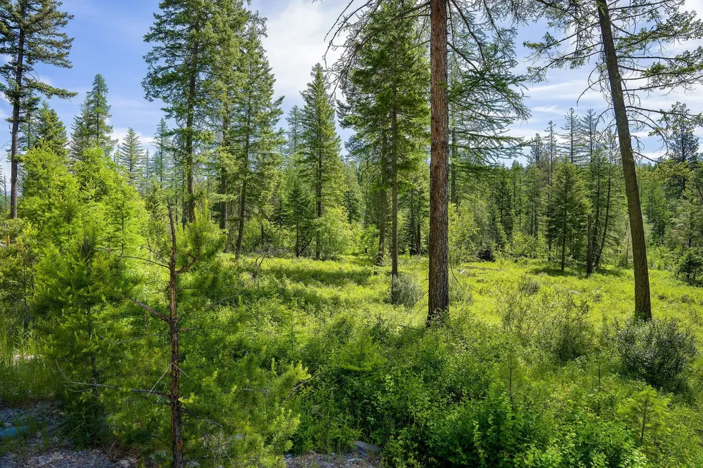 429 Chief Cliff Trail Bigfork MT 59911
