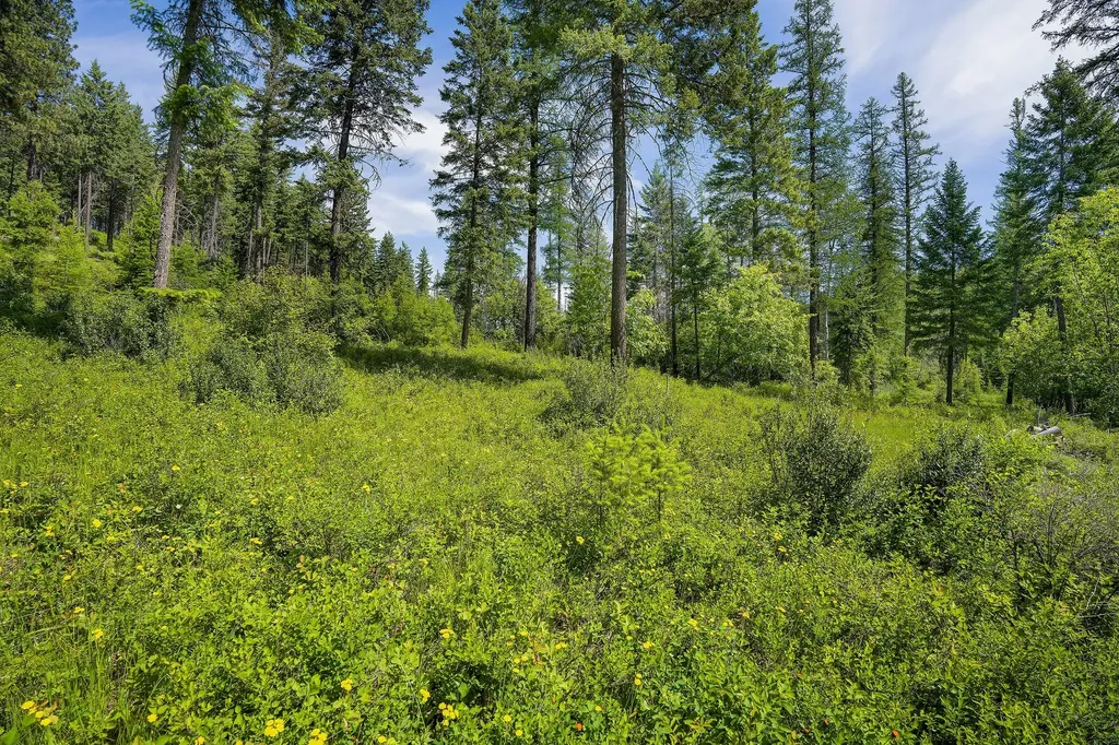 429 Chief Cliff Trail Bigfork MT 59911
