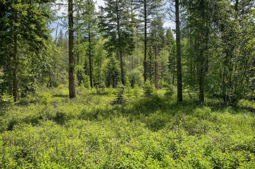 429 Chief Cliff Trail Bigfork MT 59911
