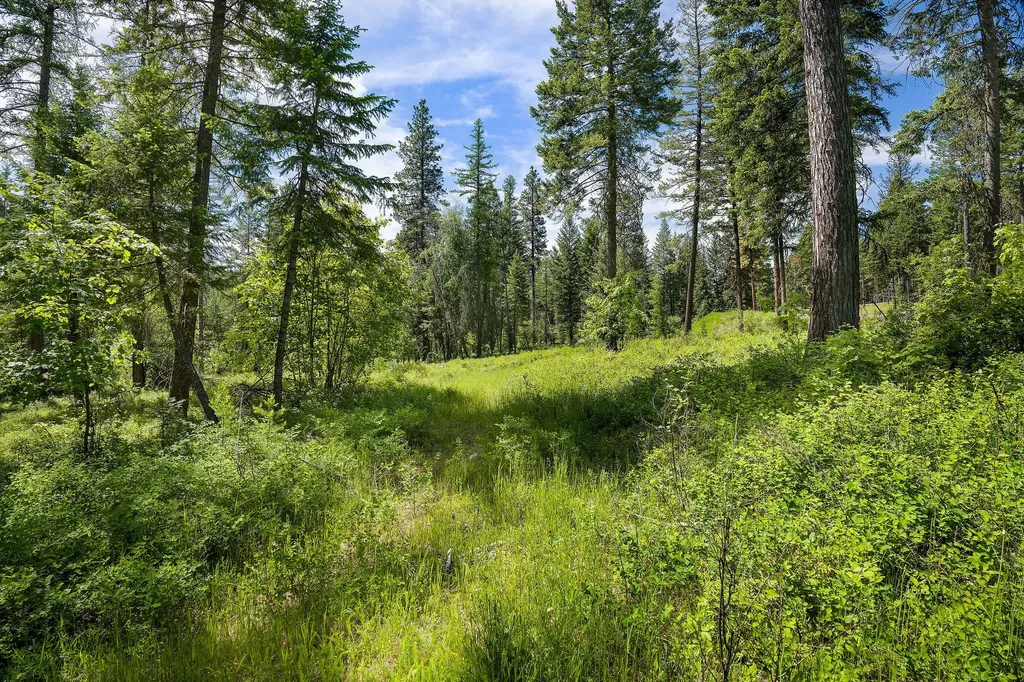 429 Chief Cliff Trail Bigfork MT 59911