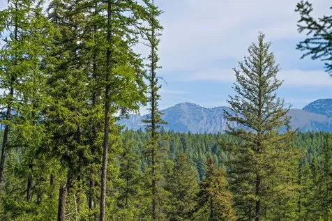 429 Chief Cliff Trail Bigfork MT 59911