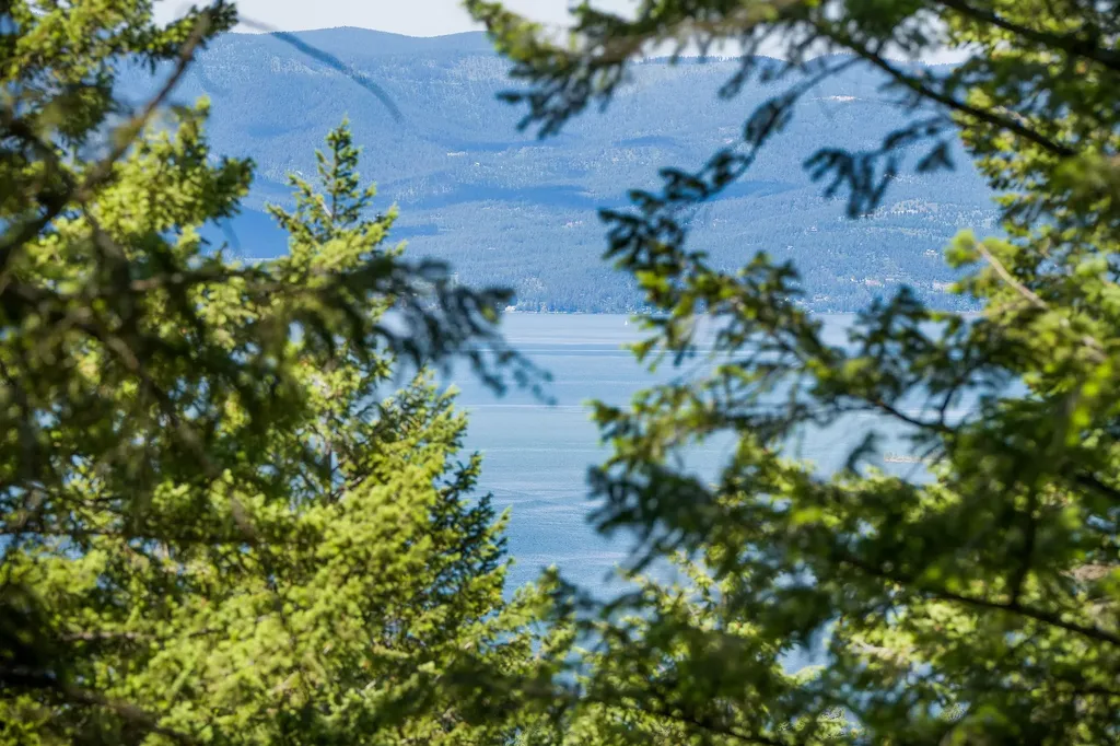 345 Chief Cliff Trail Bigfork MT 59911