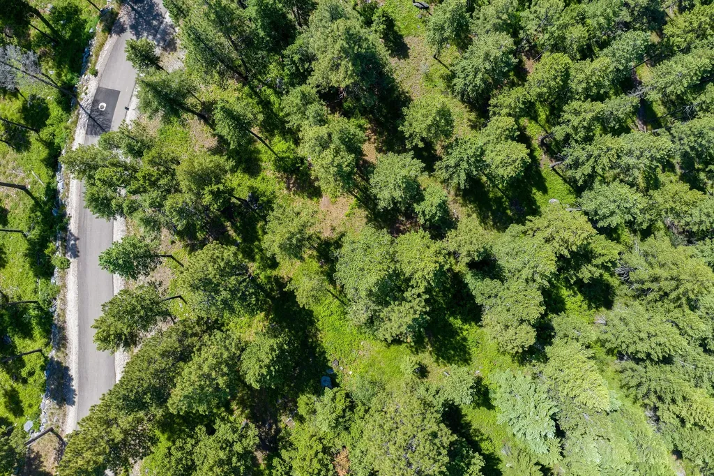 345 Chief Cliff Trail Bigfork MT 59911