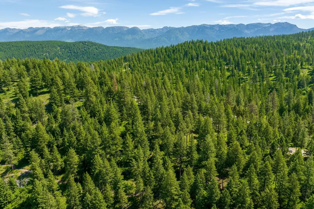 345 Chief Cliff Trail Bigfork MT 59911