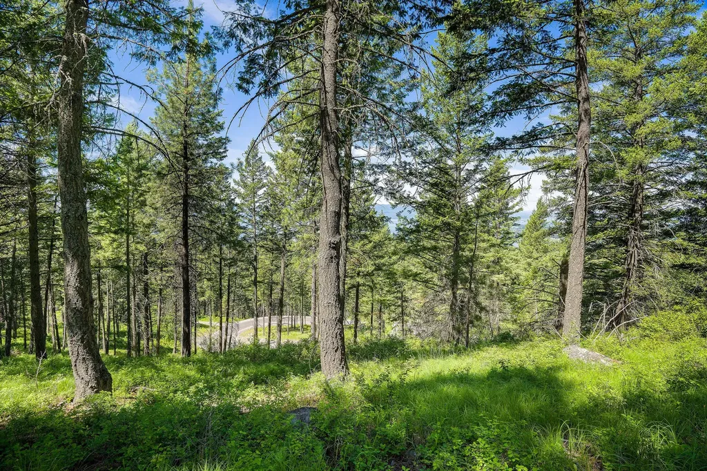345 Chief Cliff Trail Bigfork MT 59911