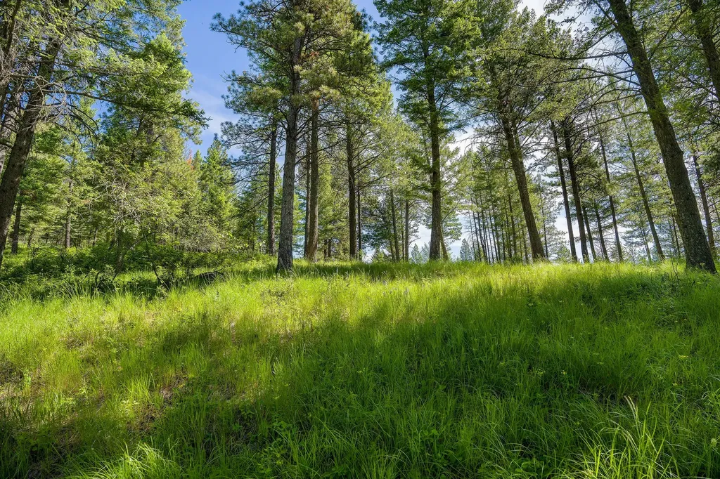 345 Chief Cliff Trail Bigfork MT 59911