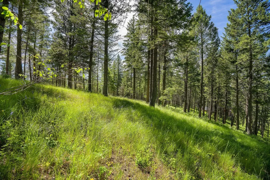 345 Chief Cliff Trail Bigfork MT 59911